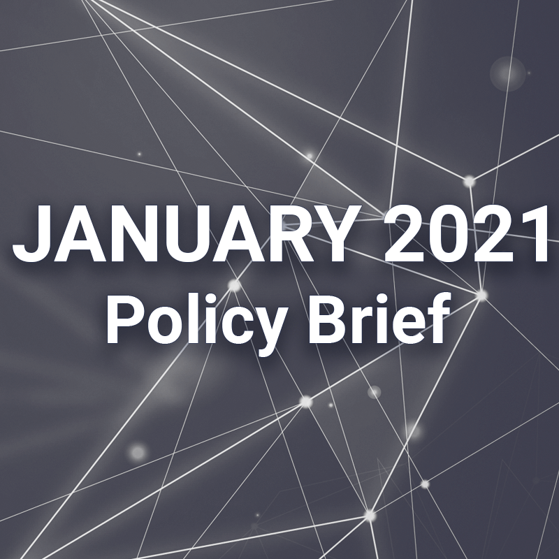 January 2021 Policy Brief
